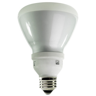 15 Watt - R30 CFL - 65 W Equal - 2700K Warm White - Min. Start Temp. 0 Deg. F - 80 CRI - 50 Lumens per Watt - 15 Month Warranty - Energy Miser FE-R30-15W-27K CFL Flood Light