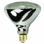 Weatherproof Flood Light