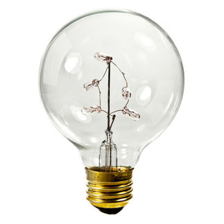 G25 Bulb