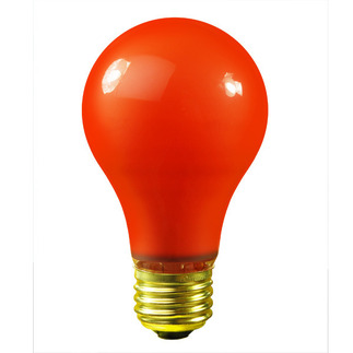 orange light bulb