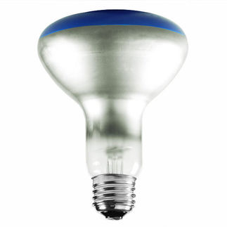 65 Watt - BR30 - Blue - 120 Volt - 2,000 Life Hours - Halogen Light Bulb