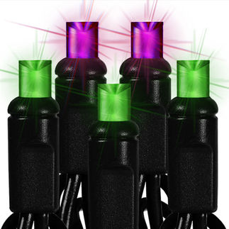 25 ft. String Light - Black Wire - 50 Purple/Green LED Bulbs