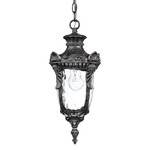 (1 Light) Hanging Lantern - Greystone / Clear Water Glass - Nuvo Lighting 60-2025 - Residential Light Fixture