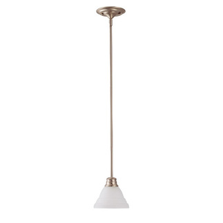 Pendant Light Fixture